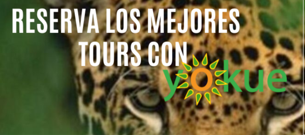 Reserva los mejores Tours con