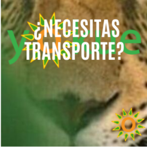 ¿Necesita Transporte?