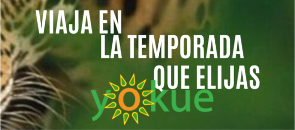Viaja en la temporada que elijas