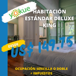 Habitación Deluxe King